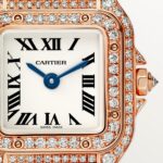 Panthere de Cartier watch WJPN0020
