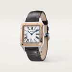 Santos-Dumont watch W2SA0037