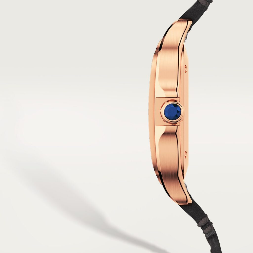 Santos de Cartier watch WGSA0028