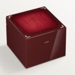 Santos-Dumont watch WGSA0102