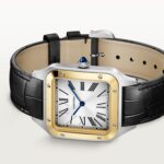 Santos-Dumont watch W2SA0034
