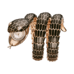 Serpenti Secret Watch 103559