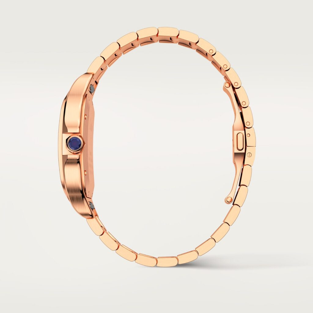 Santos de Cartier watch WGSA0007