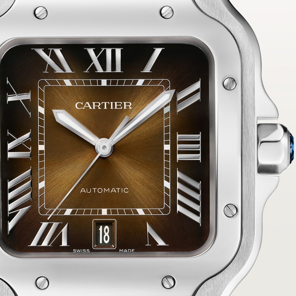 Santos de Cartier watch WSSA0064