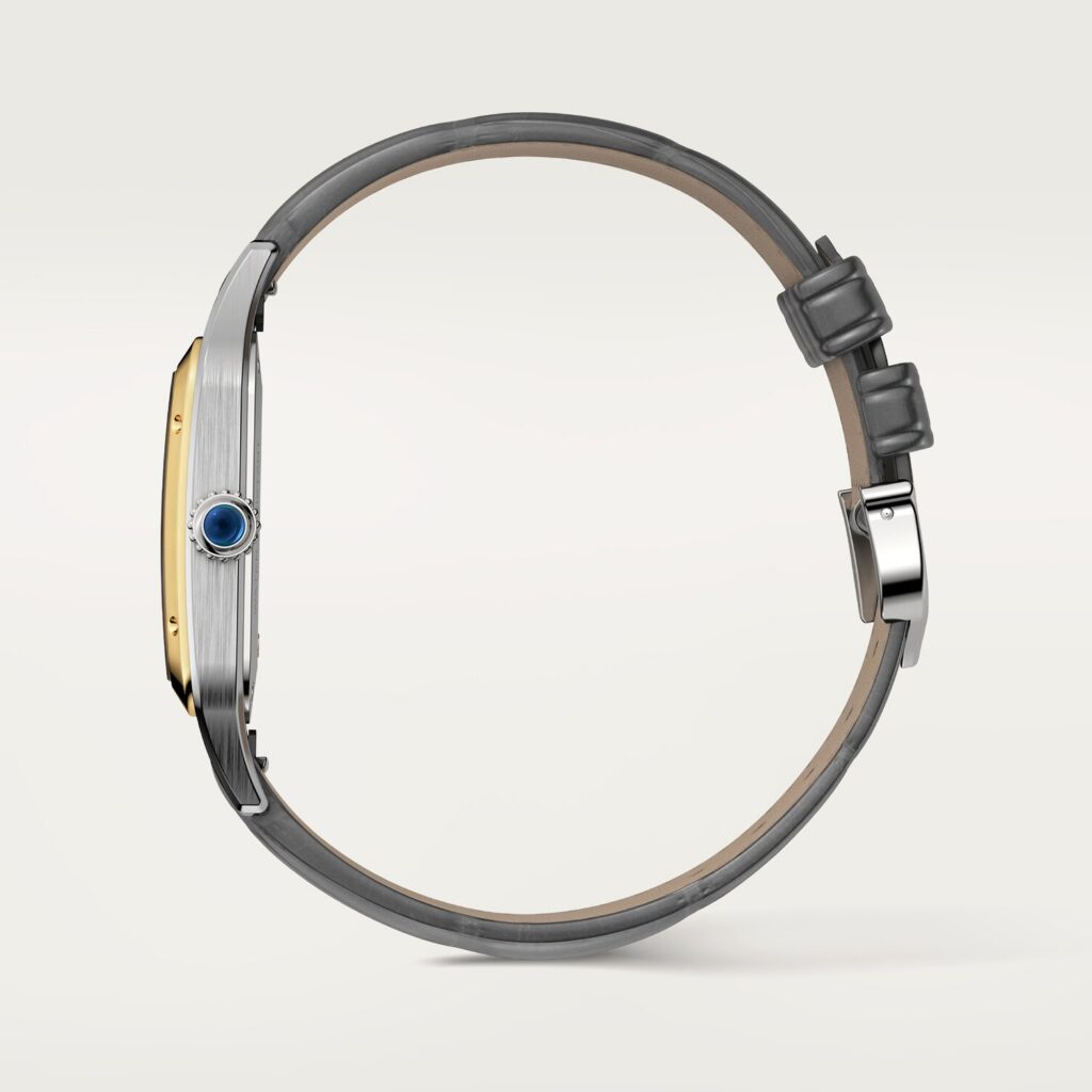 Santos-Dumont watch W2SA0036