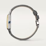 Santos-Dumont watch W2SA0036