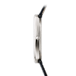 Patek Philippe Golden Ellipse 5738P-001