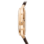 Patek Philippe Complications 5396R-011