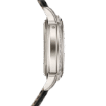 Patek Philippe Grand Complications 5271P-010