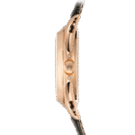 Patek Philippe Complications 5205R-011