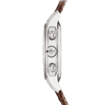 Patek Philippe Complications 5172G-010