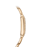 Patek Philippe Twenty~4 4910/1201R-010