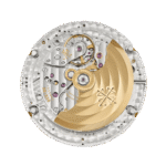 Patek Philippe Complications 5205R-011