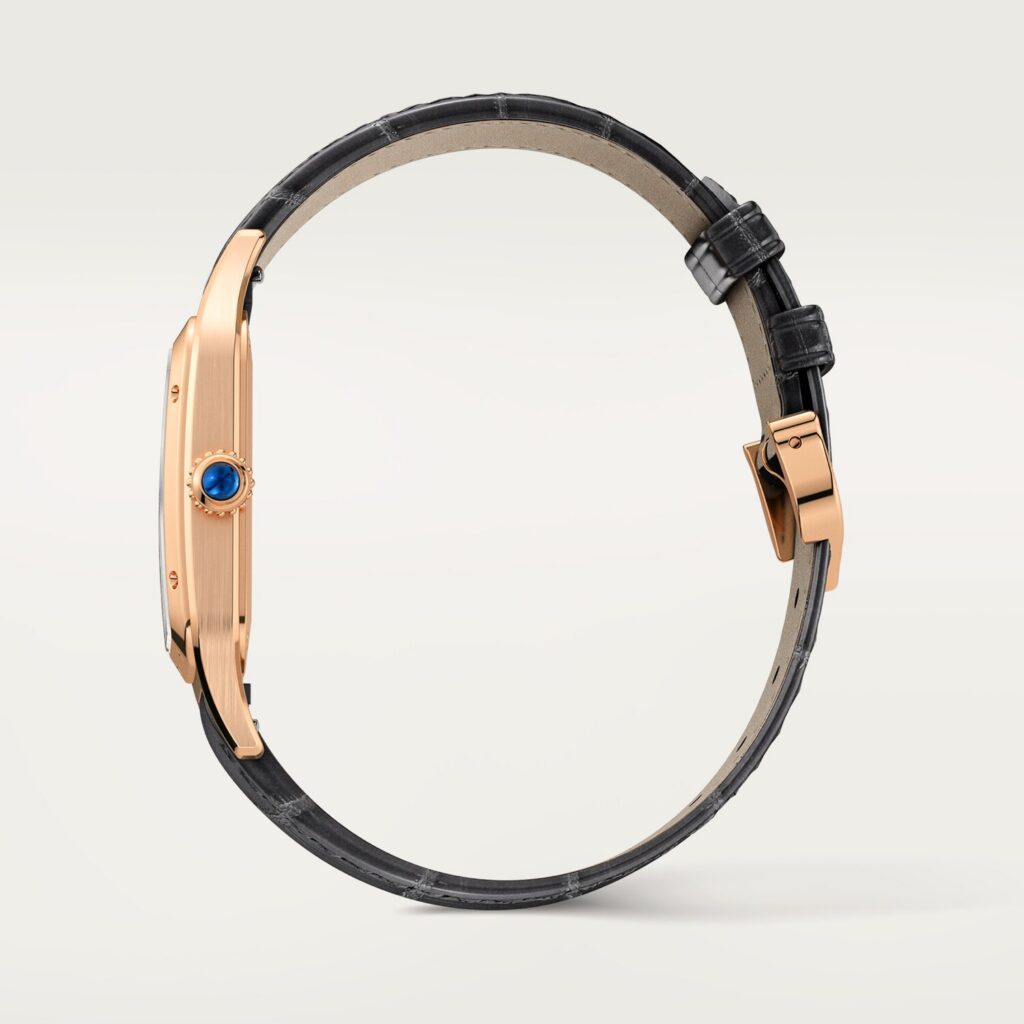 Santos-Dumont watch WGSA0116