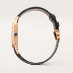 Santos-Dumont watch WGSA0116