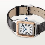 Santos-Dumont watch W2SA0037