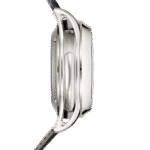 Patek Philippe Grand Complications 5308G-001