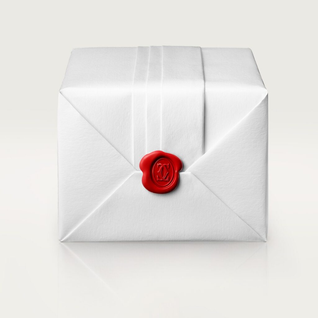 Santos de Cartier watch WSSA0055