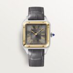 Santos-Dumont watch W2SA0036