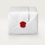 Santos de Cartier watch WSSA0029