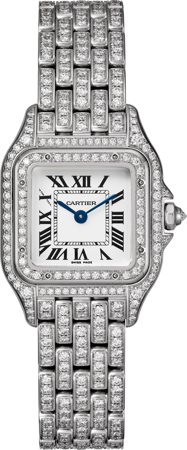 Panthere de Cartier watch HPI01720