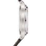 Patek Philippe Grand Complications 6301P-001