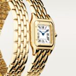 Panthere de Cartier watch, small model WGPN0013