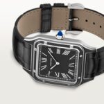 Santos-Dumont watch WSSA0046