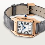 Santos-Dumont watch WGSA0116