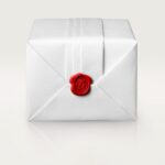 Ballon Bleu de Cartier watch WSBB0048