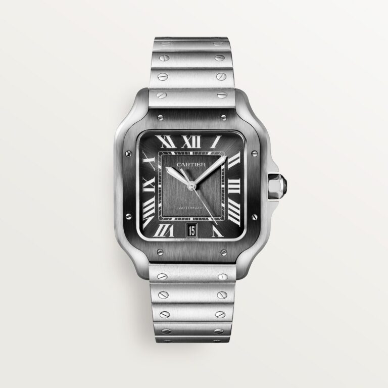 Santos de Cartier watch WSSA0037