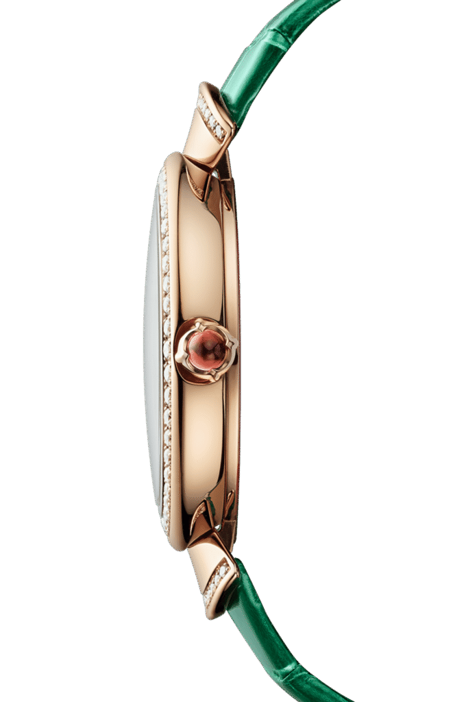 DIVAS’ DREAM Watch 103119