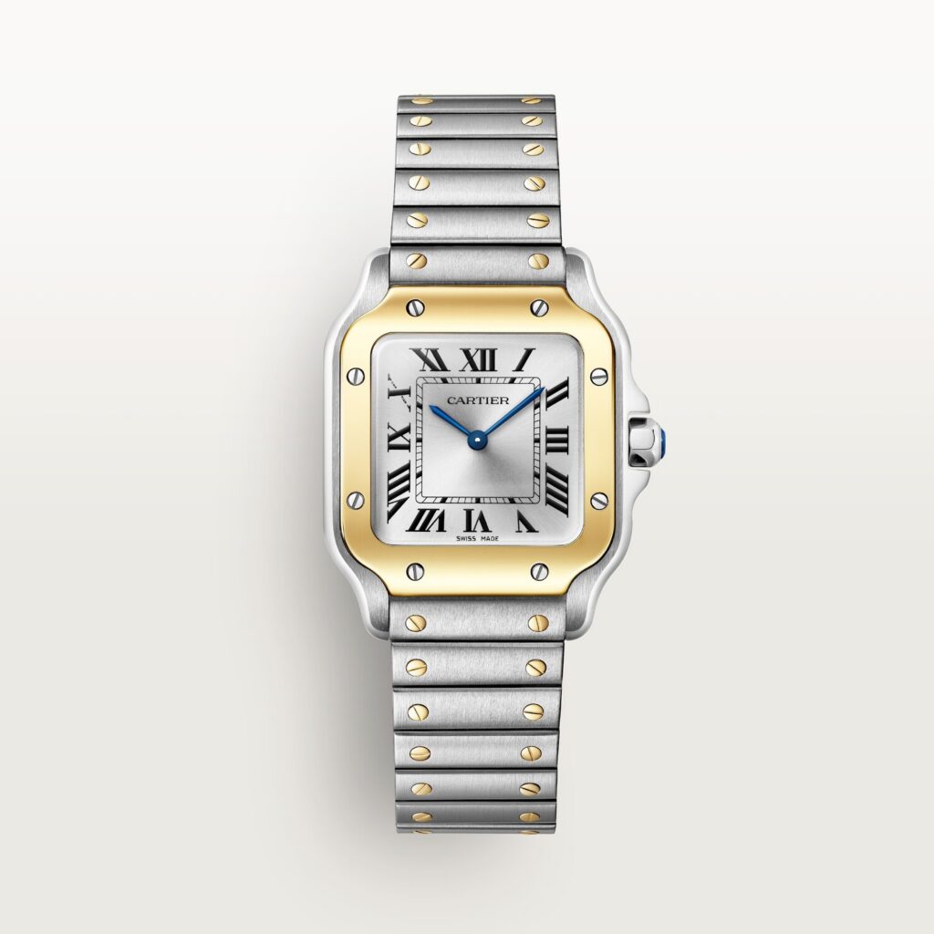 Santos de Cartier watch W2SA0033