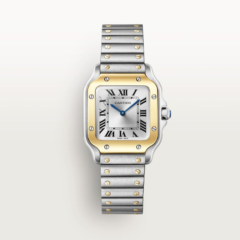 Santos de Cartier watch W2SA0033