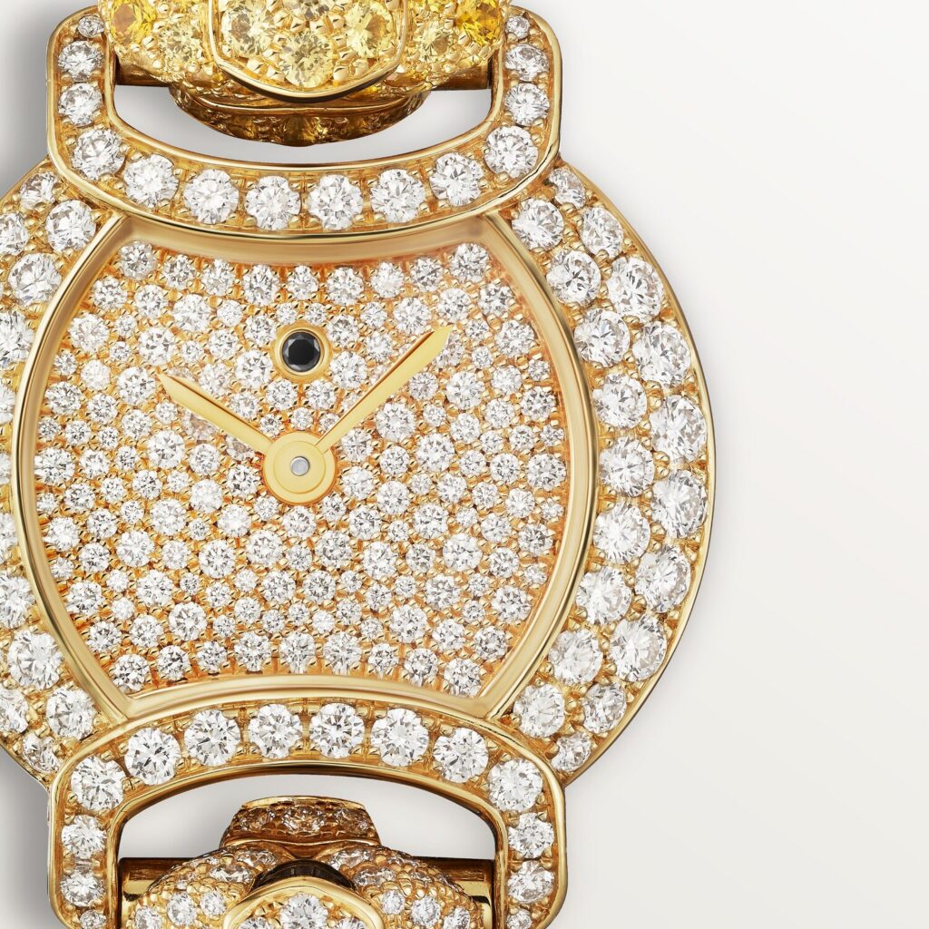 Indomptables de Cartier Watch HPI01453