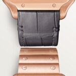 Santos de Cartier skeleton watch WHSA0016