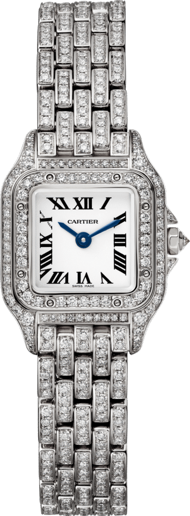 Panthere de Cartier watch HPI01325