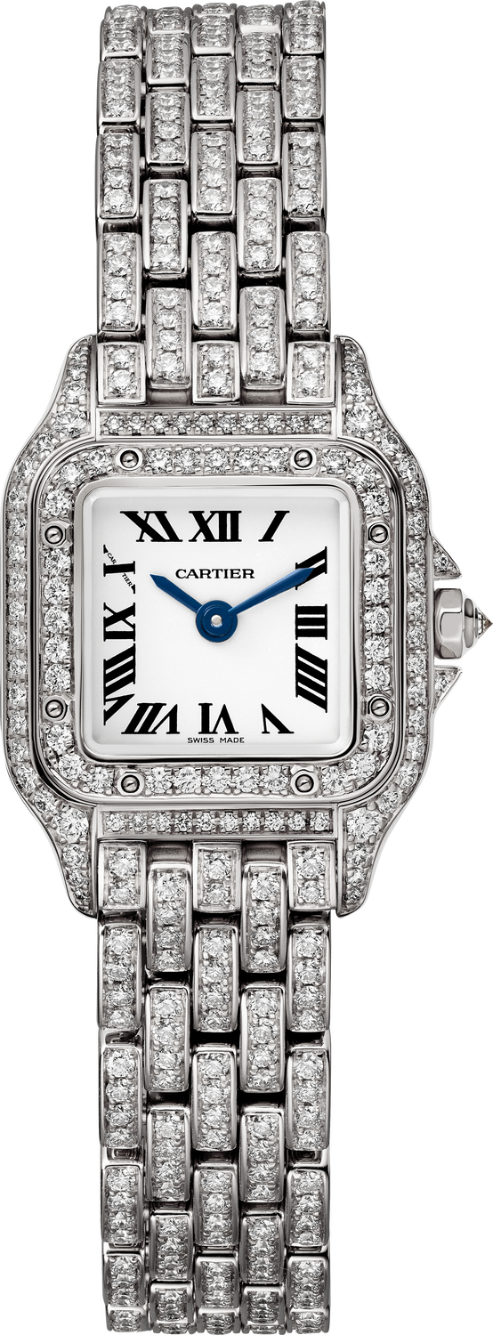Panthere de Cartier watch HPI01719