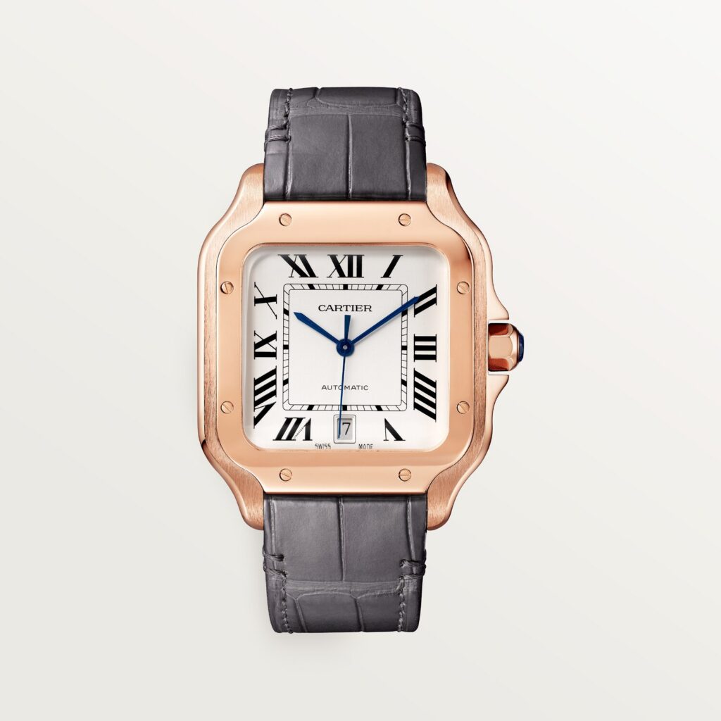 Santos de Cartier watch WGSA0019