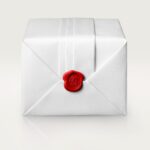 Santos de Cartier watch WSSA0018