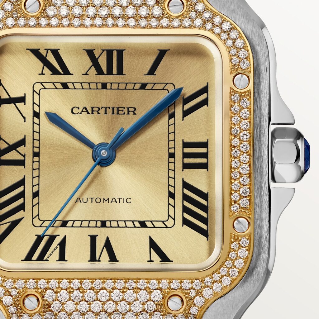 Santos de Cartier watch W3SA0007