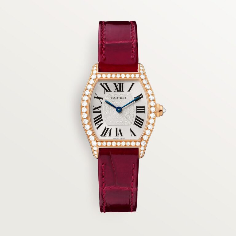 Tortue watch WA501006