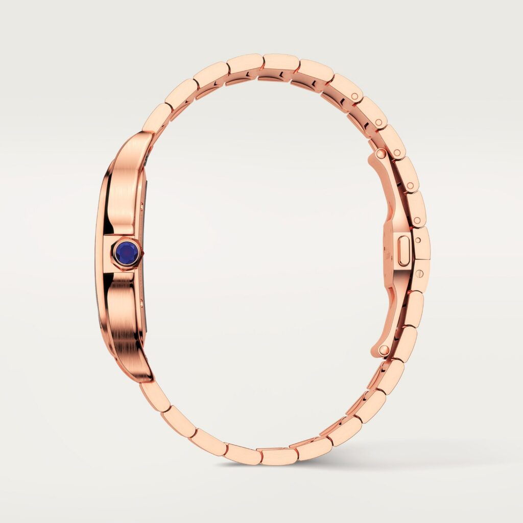 Santos de Cartier skeleton watch WHSA0016