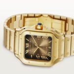 Santos de Cartier watch WGSA0095