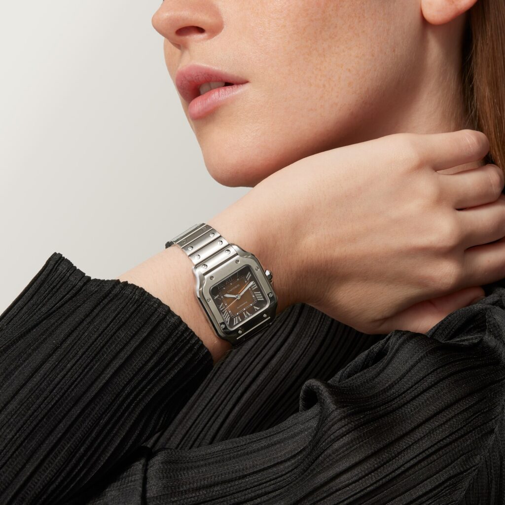 Santos de Cartier watch WSSA0065