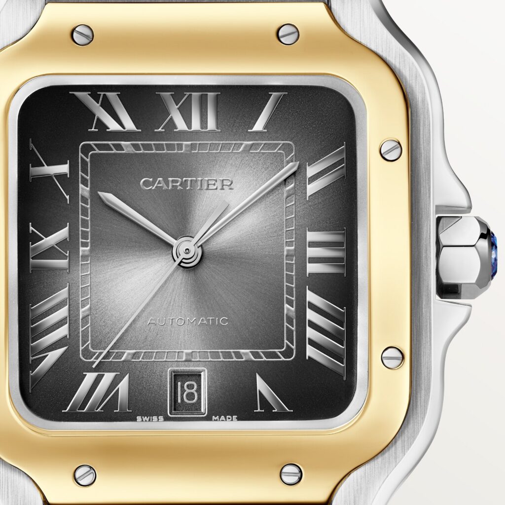 Santos de Cartier watch W2SA0030