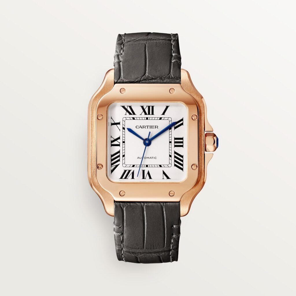 Santos de Cartier watch WGSA0028
