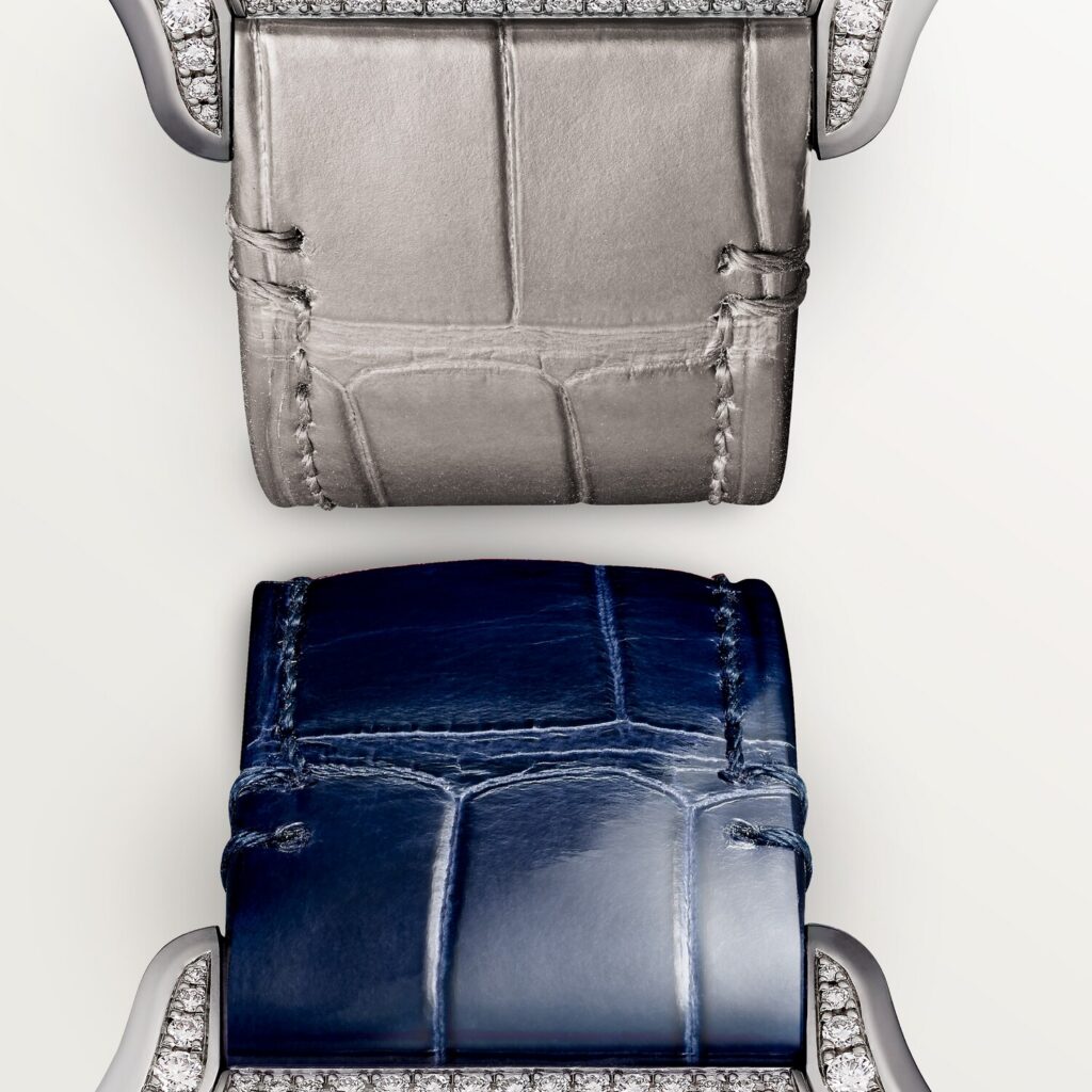 Santos de Cartier watch WJSA0014