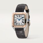 Santos-Dumont watch W2SA0038
