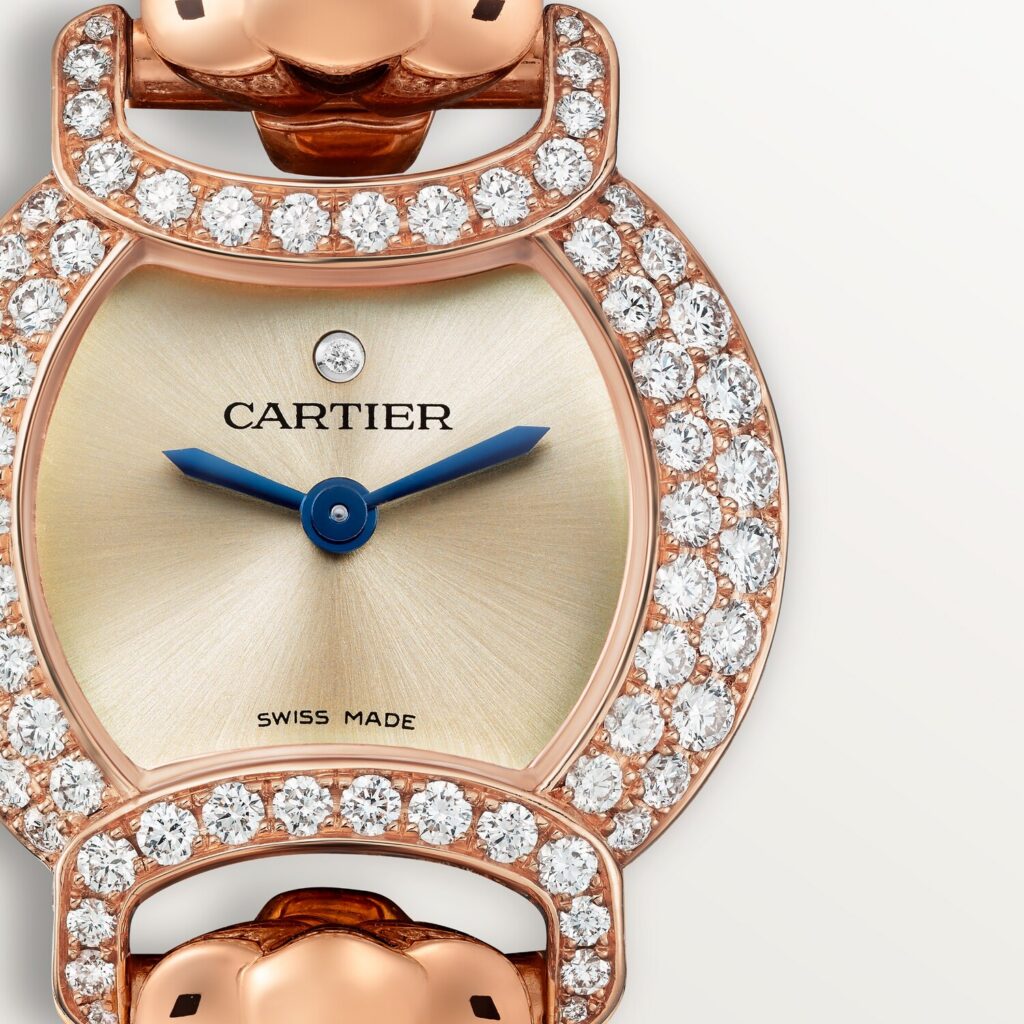 La Panthere de Cartier Watch HPI01442